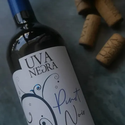 UVA NEGRA PINOT NOIR