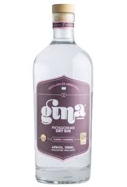 GINA gin