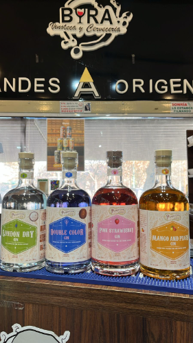 PROMO GIN PASARON COSAS MAS 2 MAGNA 1,5L