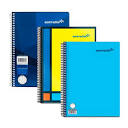 CUADERNO FRANCES CUADRO CHICO