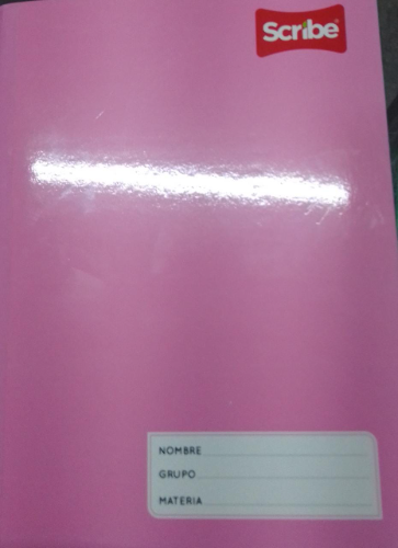 CUADERNO FRANCES SCRIBE COSIDO C/CHICO