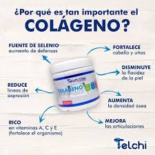 COLAGENO HIDROLIZADO TELCHI