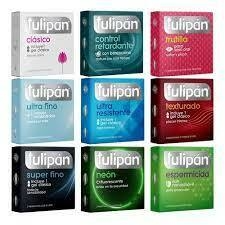 TULIPAN