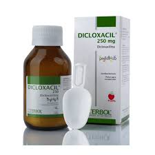 DICLOXACIL 250 DICLOXACILINA SUSPENCION