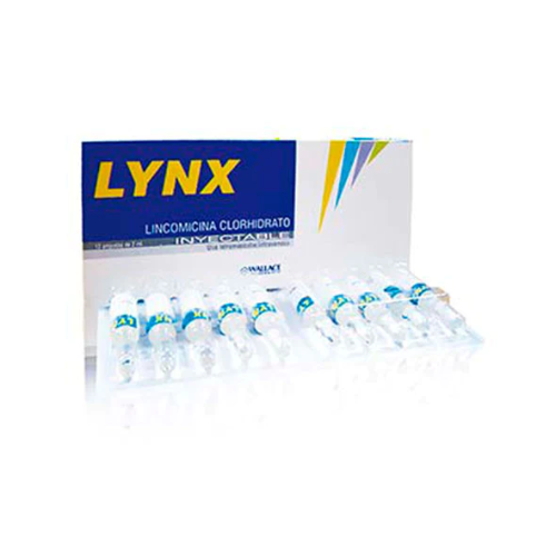 LYNX LINCOMICINA 600 MG(SAN FERNANDO)