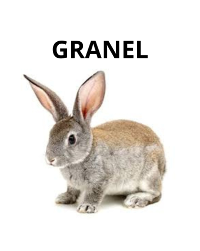 Coelho granel