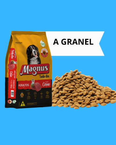 Magnus todo dia adulto