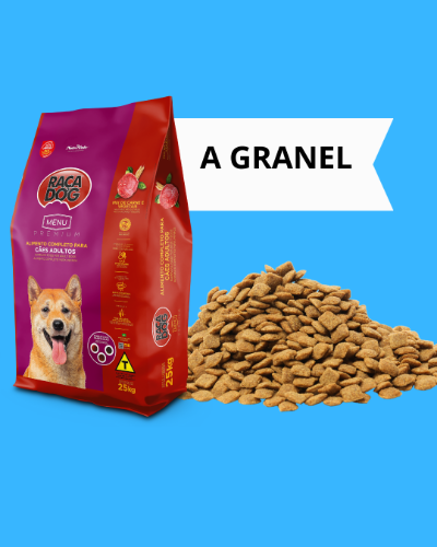 Raça dog mix
