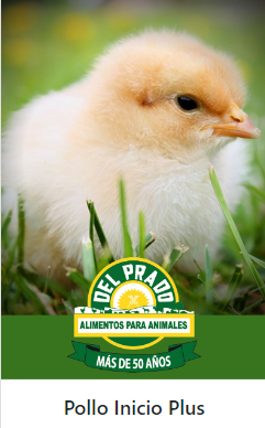 POLLO INICIO PLUS DEL PRADO CONCENTRADO