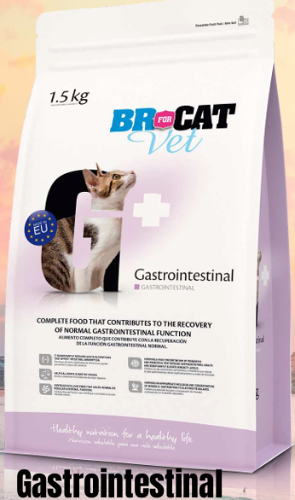 BR FOR CAT GASTROINTESTINAL X 500 GR