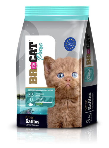 BR FOR CAT GATITOS SALMON 1 K