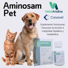 AMINOSAM X 60 ML