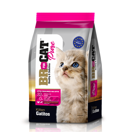 BR GATITO POLLO 1kg