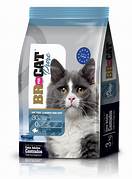 BR gato castrado Salmón 10kg