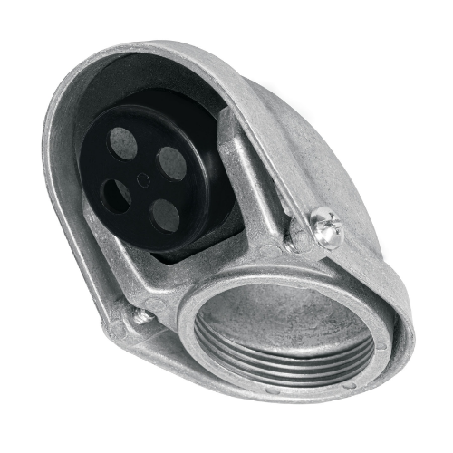 Calavera 1 1/4"
