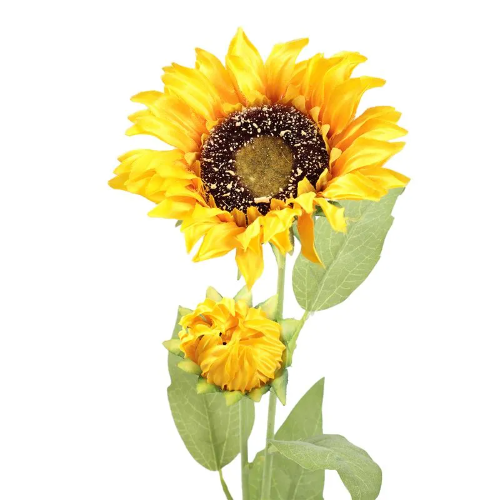 Girasol grande