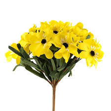 Girasol pequeño