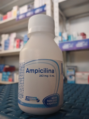 Ampicilina suspencion 250g/60ml
