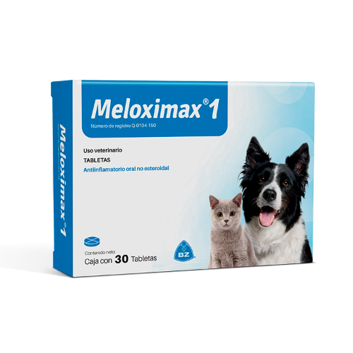 Meloximax 1