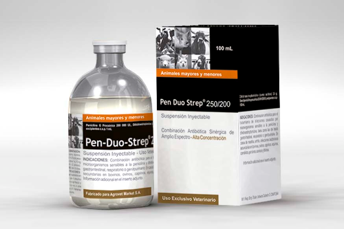 Penduo strep Dosis