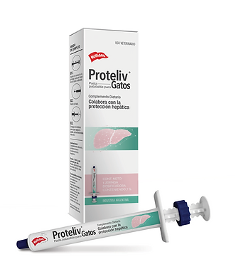 Proteliv Holliday gatos pasta