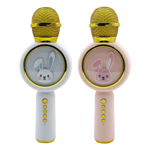 MICROFONO KARAOKE X6