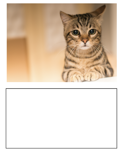 Imp. Color 1/2 Cta (img)