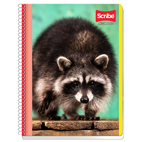Cuaderno profesional Scribe