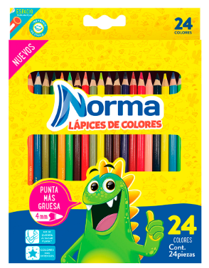 Norma de 24