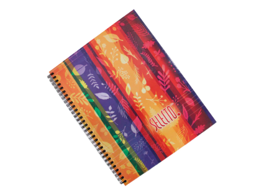 Cuaderno Frances Selecto 100h