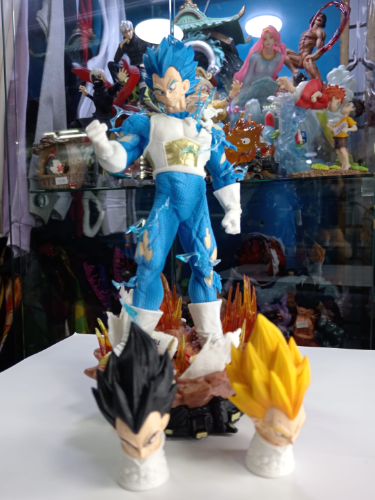 VEGETA X2