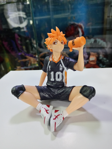 SHOYO HINATA SENTADO
