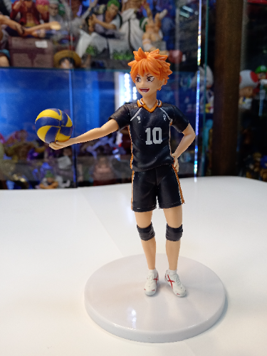 SHOYO HINATA