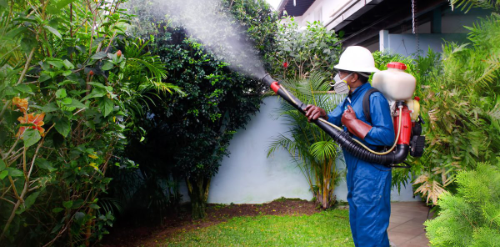 FUMIGACION CONTROL DE PLAGAS - CON CERTIFICADO MUNICIPAL