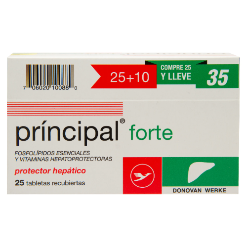 PRINCIPAL FORTE