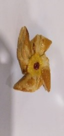 REMOLINO