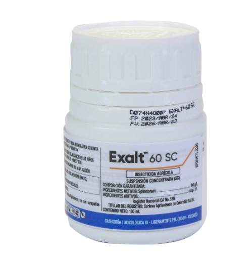Exalt x 100cc
