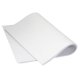 Pliego Bond 80 gramos