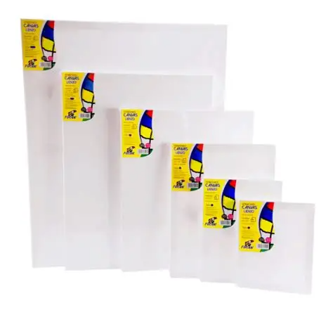 CANVAS  TUCAN 24*30