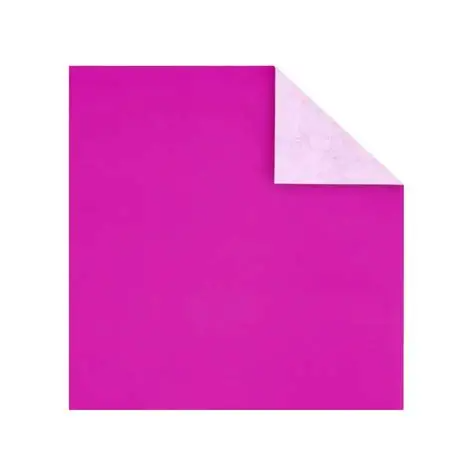 Papel Esmaltado PLIEGO FUSIA