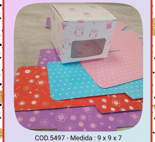 CAJA CON VISOR CHICAS