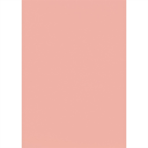 CART. ESCOLAR VIVO 50X65CM ROSA