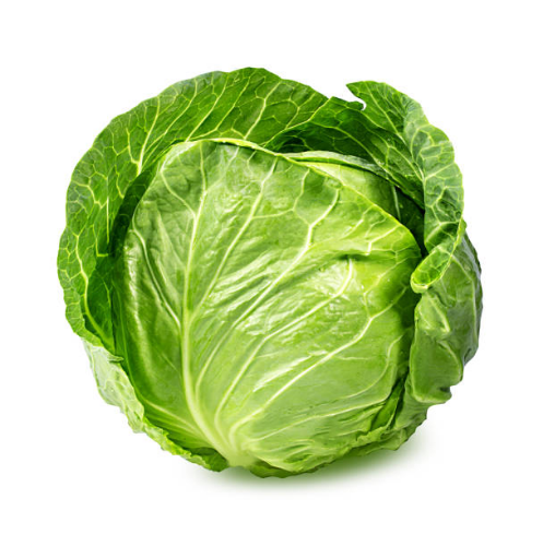 Repollo