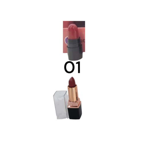LABIAL MATTE LIPSTICK D'HERMOSA COLOR 01