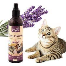 spray lavanda aromaterapia