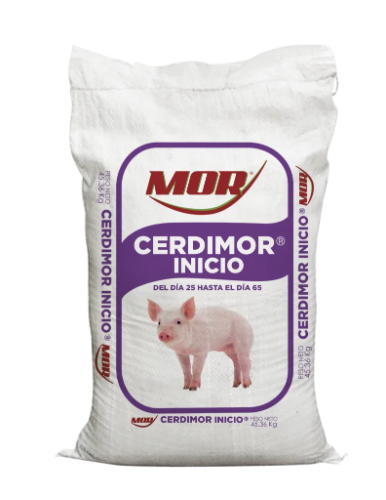 CERDIMOR INICIO