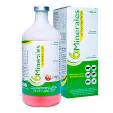 6 MINERALES VITAMINADO 100 ML