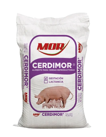 CERDIMOR GESTACION