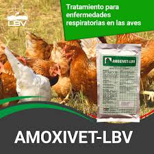 AMOXIVET 100 GRAMOS