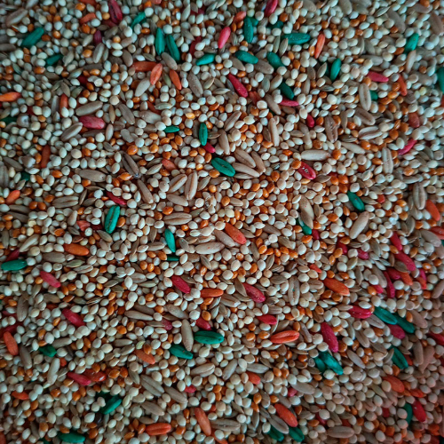 ALPISTE VITAMINADO 1 LB